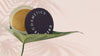 MINERALSTIFTUNG