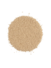 Foundation Tangerine